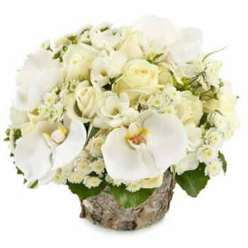 Cool Orchid Flower Bouquet Hand-Tied Bouquet With Roses, Freesias, Santini Chrysanthemums And Alchemilla, Creating A Fresh And Elegant Floral Arrangement.