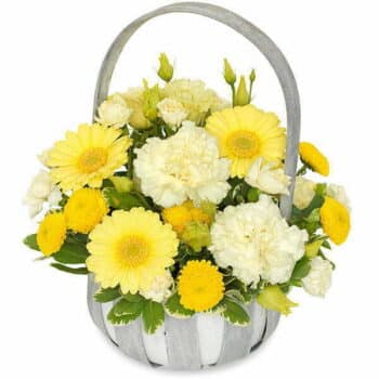 Sunshine Flower Basket Sunshine Flower Basket Featuring Cream And Yellow Carnations, Germini, Lisianthus, And Spray Carnations In A Grey Carousel Basket.