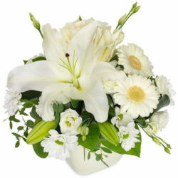 Container White Flowers