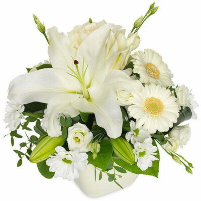 Container White Flowers