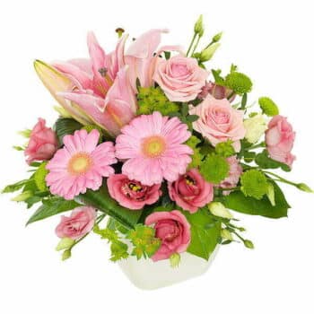 Container Pink Flowers Featuring Pink Lilies, Pink Gerbera, And Pink Roses With White Accents, Arranged In A Stylish White Container.