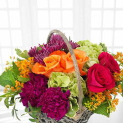 Pumpkin Patch Floral Basket Featuring Orange And Red Roses With Violet Carnations, Chrysanthemums, Green Hydrangea And Orange Asclepias In A Wicker Basket.