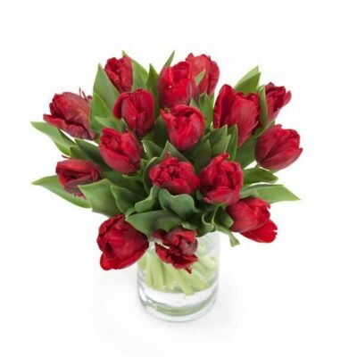 Red Tulips Flower Bouquet