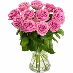 24 Pink Roses Flower Bouquet