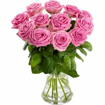 24 Pink Roses Flower Bouquet Featuring Two Dozen Fresh Pink Roses In A Hand-Tied Aqua Pack Arrangement, Ideal For Elegant Gifting.