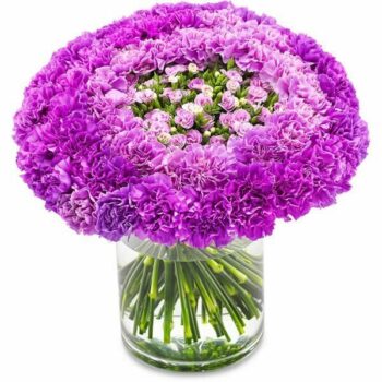 Panache Flower Bouquet Featuring A Compact, Domed Arrangement Of Spray Carnations In Lilac, Violet, And Deep Purple, Creating A Striking Ombré Effect.
