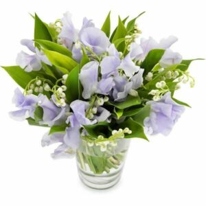 Bou13 62Ssweet Valley