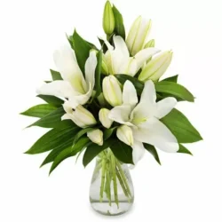 Mothers Day Bouquet 40 Pure White Lilies Flower Bouquet