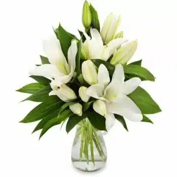 Pure White Lilies Flower Bouquet Hand-Tied Aqua Pack Bouquet Featuring Pure White Lilies With Lush Greenery, Creating A Fresh And Elegant Floral Arrangement.