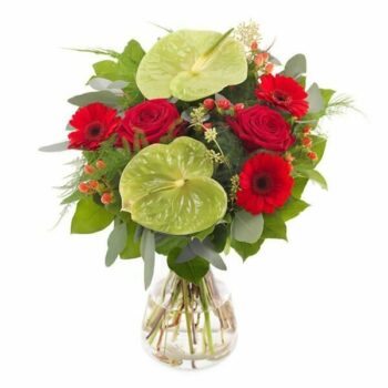 Red Midori Bouquet Featuring Anthurium, Germini, Roses, Hypericum Berries, Eucalyptus, Asparagus Fern, And Salal In A Red And Green Aqua Pack.