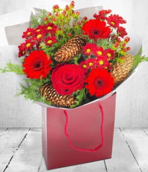 Christmas Classic Flower Bouquet Featuring Germini, Roses, Chrysanthemums, Eucalyptus, And Gold Star Decorations In A Vibrant Red Aqua Pack.