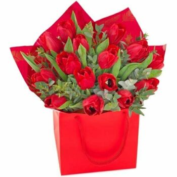 Christmas Tulips Flower Bouquet Christmas Tulips Flower Bouquet Featuring Vibrant Tulips Arranged In Festive Wrapping, Ideal For Holiday Gifting And Seasonal Décor.