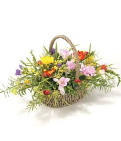 Mixed Freesia Basket In A Traditional Seagrass Basket With Green Foliage, Featuring Vibrant Colours And A Fragrant, Elegant Floral Arrangement.