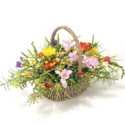 Mixed Freesia Basket In A Traditional Seagrass Basket With Green Foliage, Featuring Vibrant Colours And A Fragrant, Elegant Floral Arrangement.