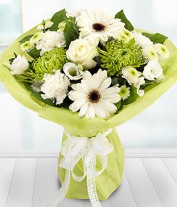 CR14AQPPR01SILVERMOON