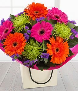 Cr14Aqpvb02Shappydays