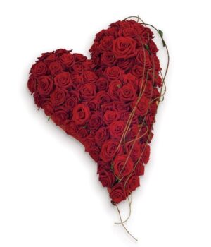 Solid Swinging Heart Tribute Contemporary Heart-Shaped Funeral Tribute Featuring Soft Red Roses And Lush Greenery In An Elegant Swinging Design.