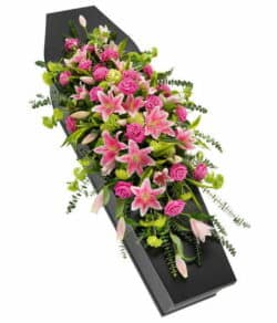 Pink Rose and Lily Coffin/Casket Spray with hydrangeas, viburnums, Aralia, eucalyptus, and variegated lime Dracaena leaves.