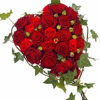 Red Rose Heart Tribute