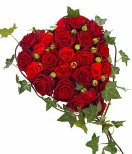 Dgn Tr13Heaht01Sred Rose Heart