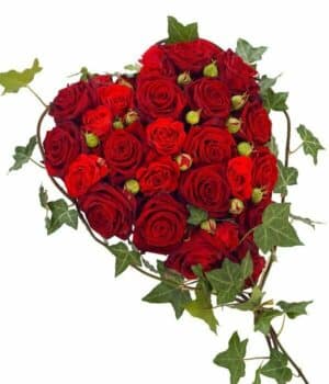 Red Rose Heart Tribute Featuring Rich Red Roses With A Delicate Flourish Of Ivy, Arranged On A Lush Green Base.