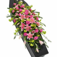 Coffin Spray