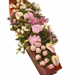 Coffin Spray