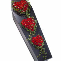 Coffin Spray Hearts