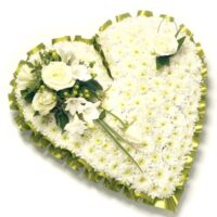 Traditional White Heart Classic Tribute