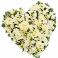 White Rose Heart Tribute