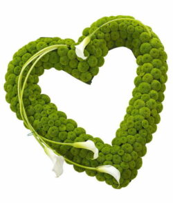 Calla Lily Open Heart Tribute Open heart-shaped floral tribute featuring white calla lilies, green spray chrysanthemums, and aspidistra leaves in a stylish design.