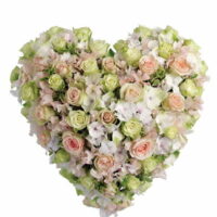Posy