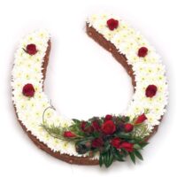 Horse Shoe Tribute