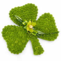 Shamrock Flower Tribute