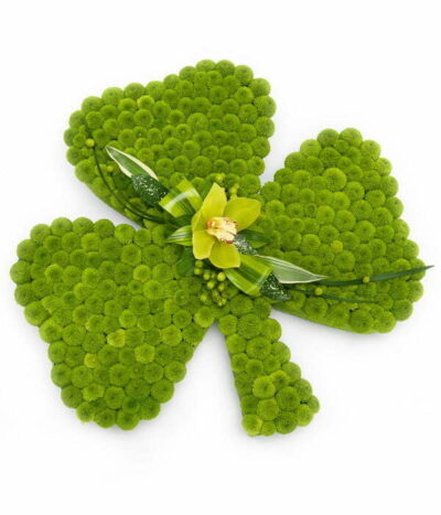 Shamrock Flower Tribute
