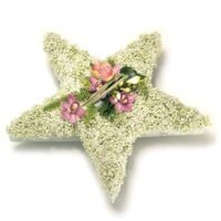 Star Funeral Flower Tribute