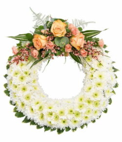 Classic White Flower Wreath Round white Chrysanthemum wreath featuring a delicate pink Rose and Genista spray for a classic floral tribute.