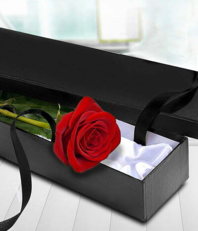 Red Rose