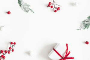Christmas Flowers
