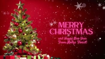 Christmas Bouquet Festive Video